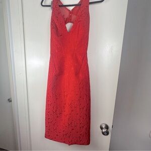 Monique Lhuillier Red-berry Floral Lace‎ Sleeveless Mesh Cutout Back Dress NWT 6